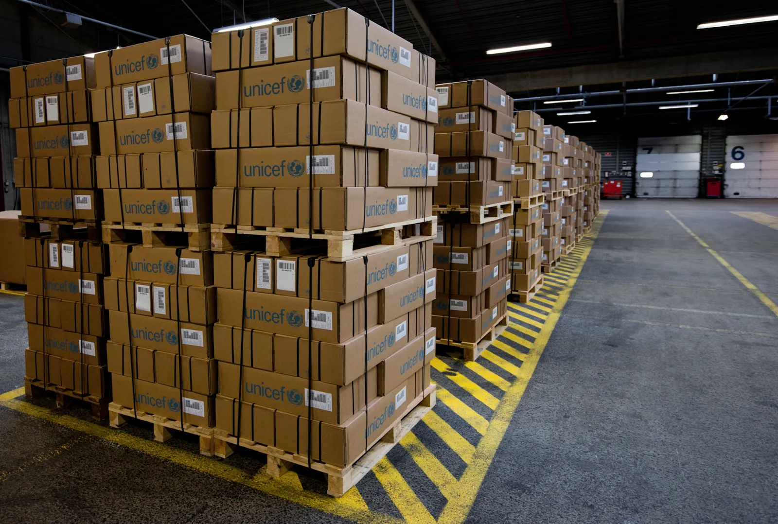 Cajas paletizadas en un almacén de carga