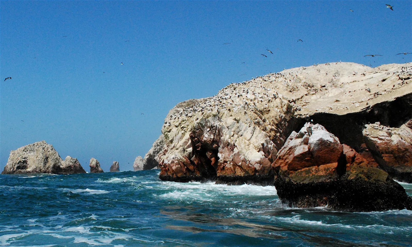 Islas Ballestas en Paracas